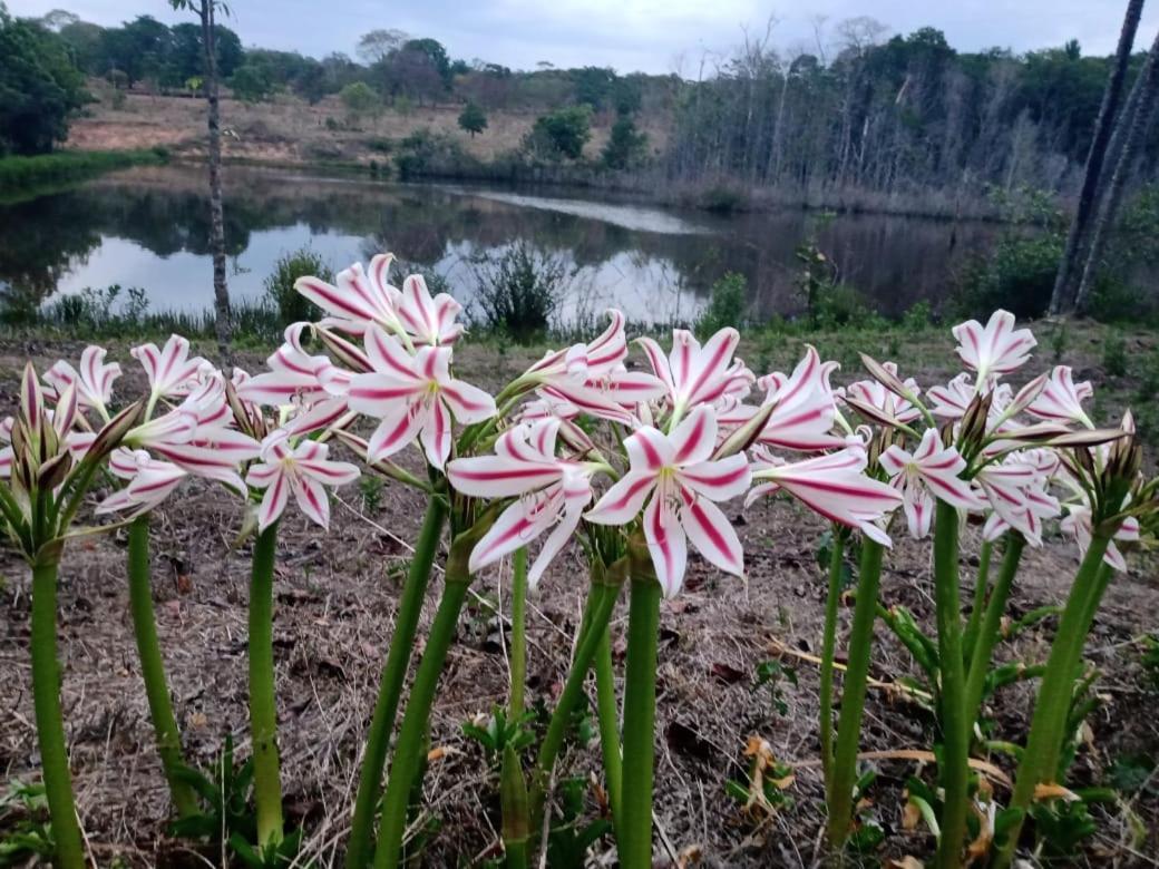 Chacara Bica Dagua Villa Pirenópolis Buitenkant foto